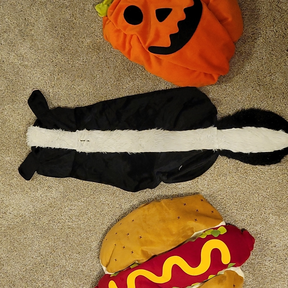 Large Dog Costumes - Picture 3 of 5